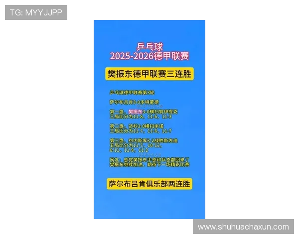 2025赛季德甲联赛最新比分及完整赛程安排详细解析