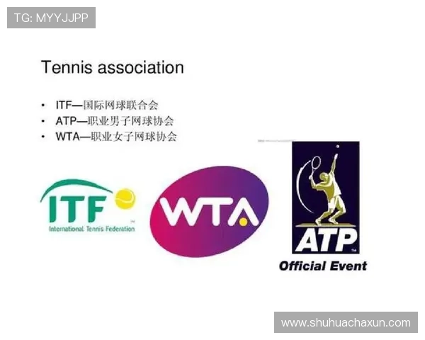 四大网球公开赛全球影响力排名分析与赛事特色解读 四大网球公开赛全球影响力排名分析与赛事特色解读